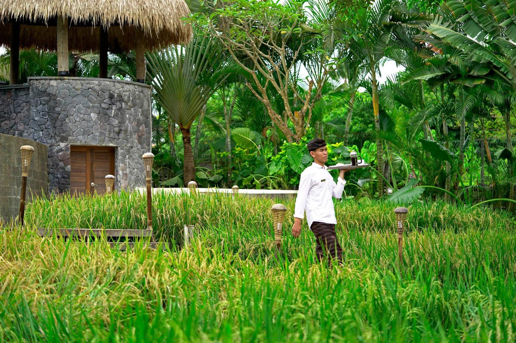 Lalasa Villas Canggu Dış mekan fotoğraf